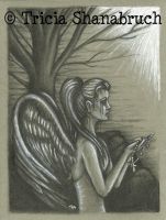 Redemption of the Fallen